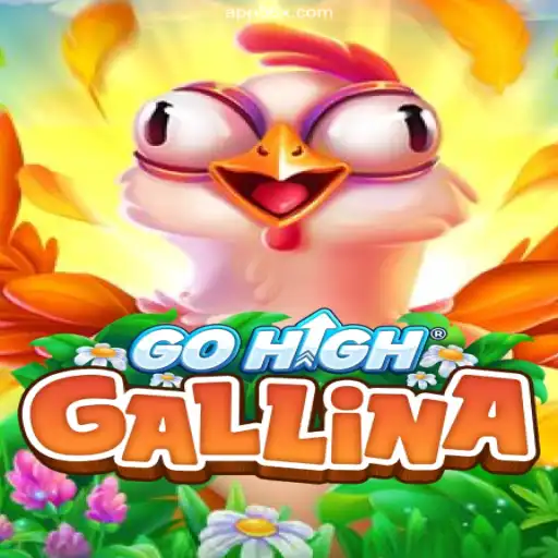 Exploring the World of GoHighGallina: An Innovative Gaming Adventure