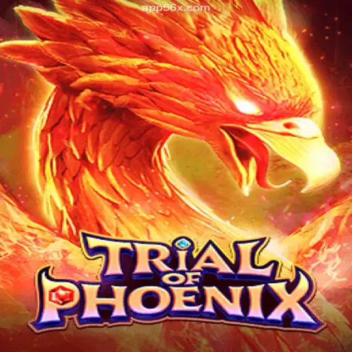 The Enigmatic World of TrialofPhoenix and the Rise of 56X.com⭐️ A Melhor Plataforma de Apostas no Brasil
